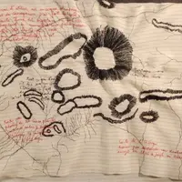 Muséoweek-end &copy; Véronique Arnold, Le canal de l’Orénoque, 2015 © Musée des Beaux-Arts