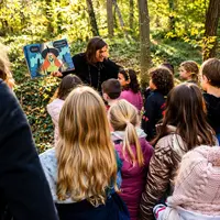 Balade contée en forêt enchantée  &copy; Schamberger Stéphanie