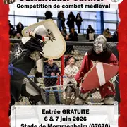 fasselridder turnier