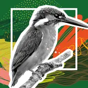 6e édition de la Journée Nature