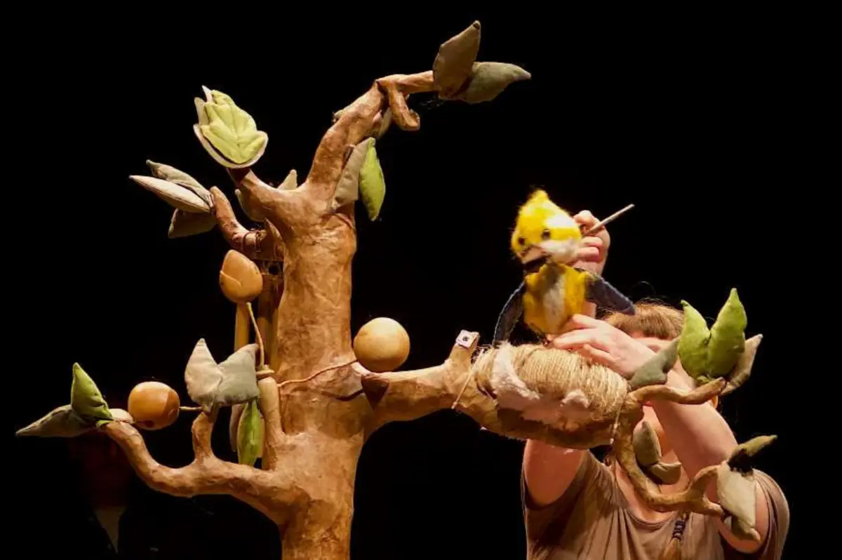 Le premier envol – Cie la Naine Rouge