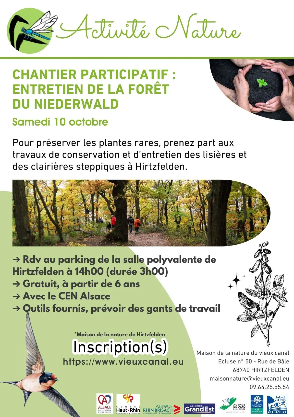 Chantier d’entretien de la forêt du Niederwald 