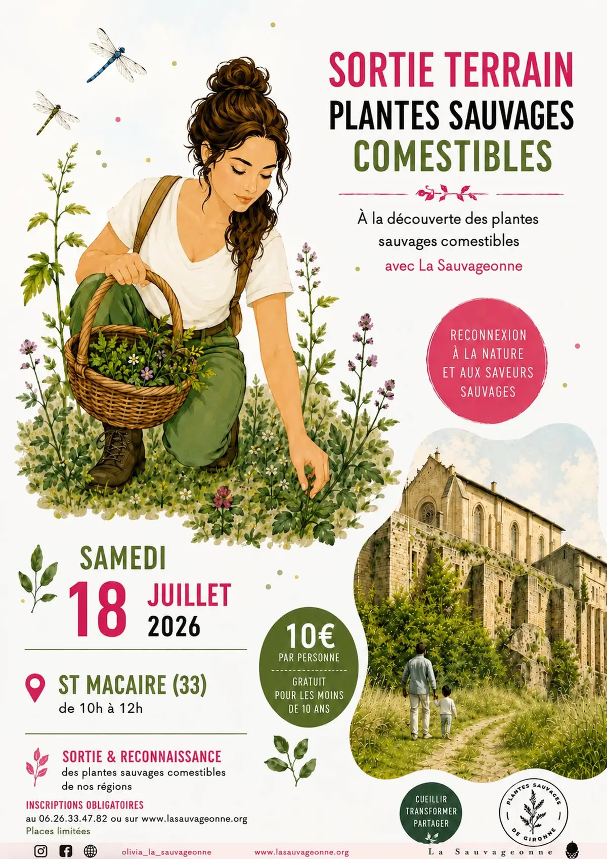 Sortie plantes sauvages comestibles à St Macaire