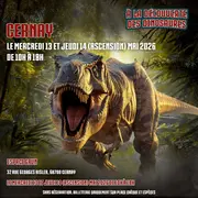 Exposition de Dinosaures Haut-Rhin 
