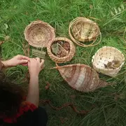 Atelier vannerie sauvage : panier sur arceau