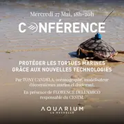 Conférence : Protéger les tortues marines grâce aux nouvelles technologies