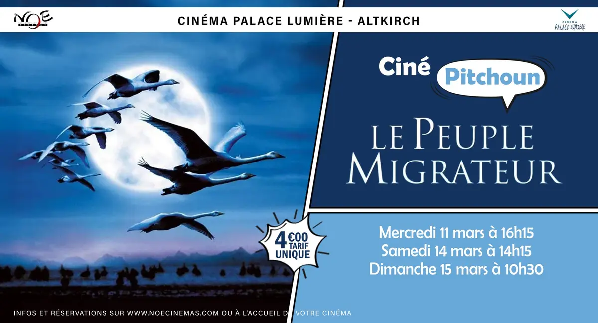Ciné Pitchoun / Le Peuple Migrateur