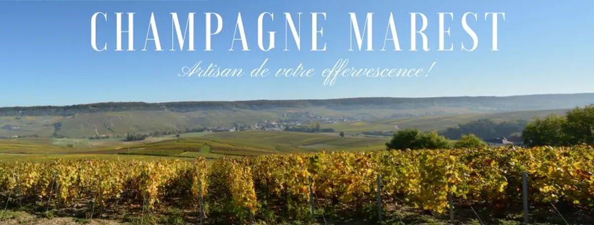 Champagne Marest