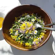 Croquons la nature - Eté