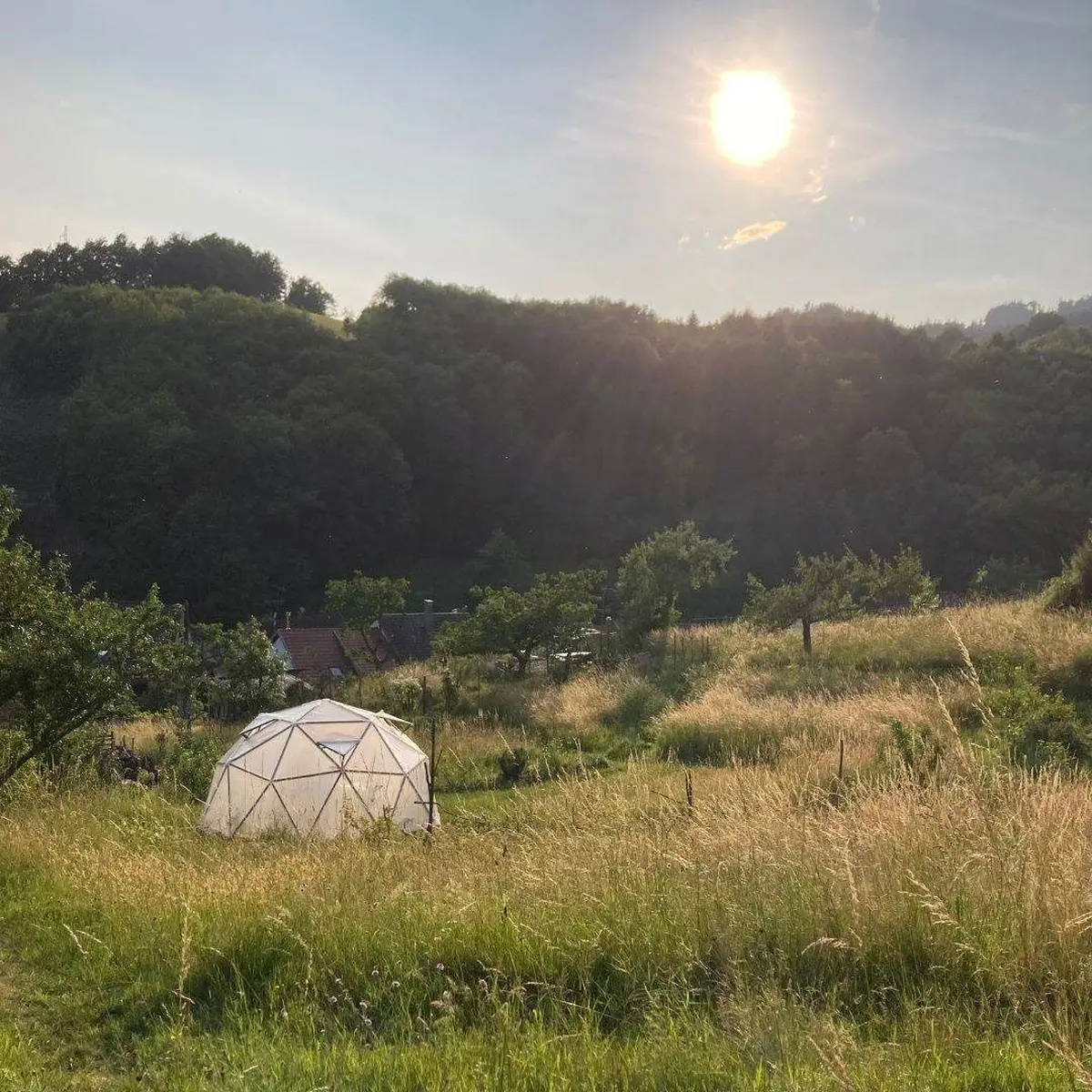 Le nouveau printemps / permaculture, sorties et chambres d'hôtes