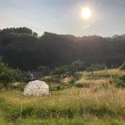 Le nouveau printemps / permaculture, sorties et chambres d'hôtes