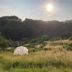 Le nouveau printemps / permaculture, sorties et chambres d'hôtes