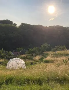 Le nouveau printemps / permaculture, sorties et chambres d'hôtes