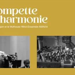 Trompette en harmonie (concert en partenariat avec l’association l’AMAVIA)