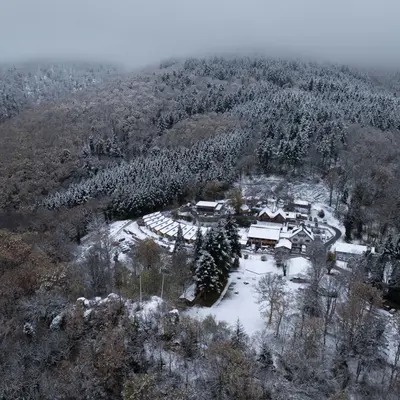 Soirée Saint-Sylvestre au cœur de la nature