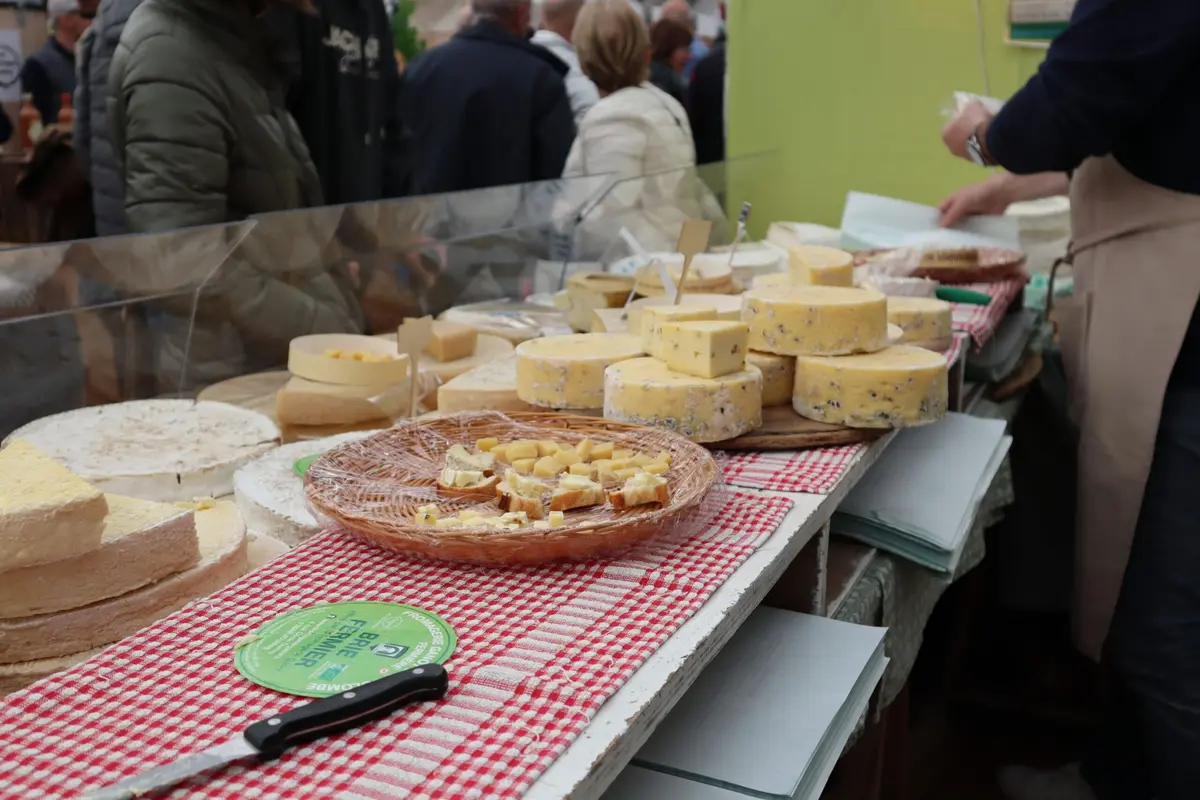 Dégustation à la Foire aux fromages et aux vins de Coulommiers
