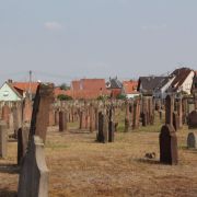 A la découverte du cimetière Juif de Haguenau