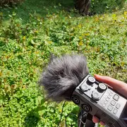 Visite sonore de l'Abri mémoire