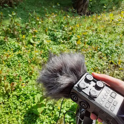 Visite sonore de l'Abri mémoire