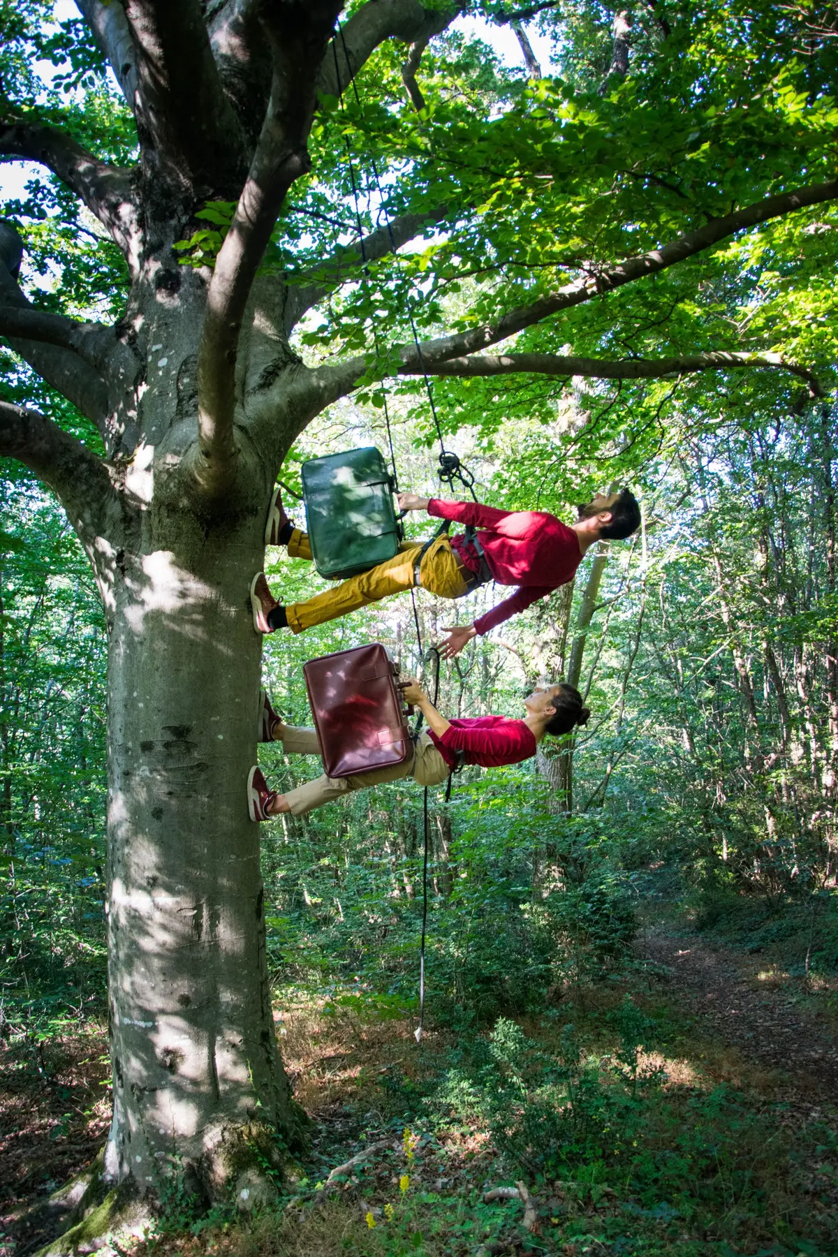 L’orée du réel – théâtre-cirque