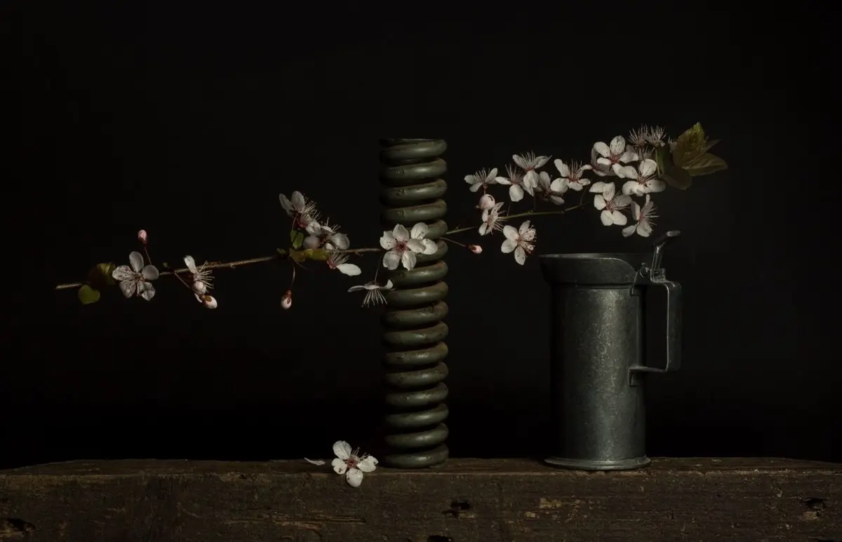 Exposition de photographies - Le silence des choses