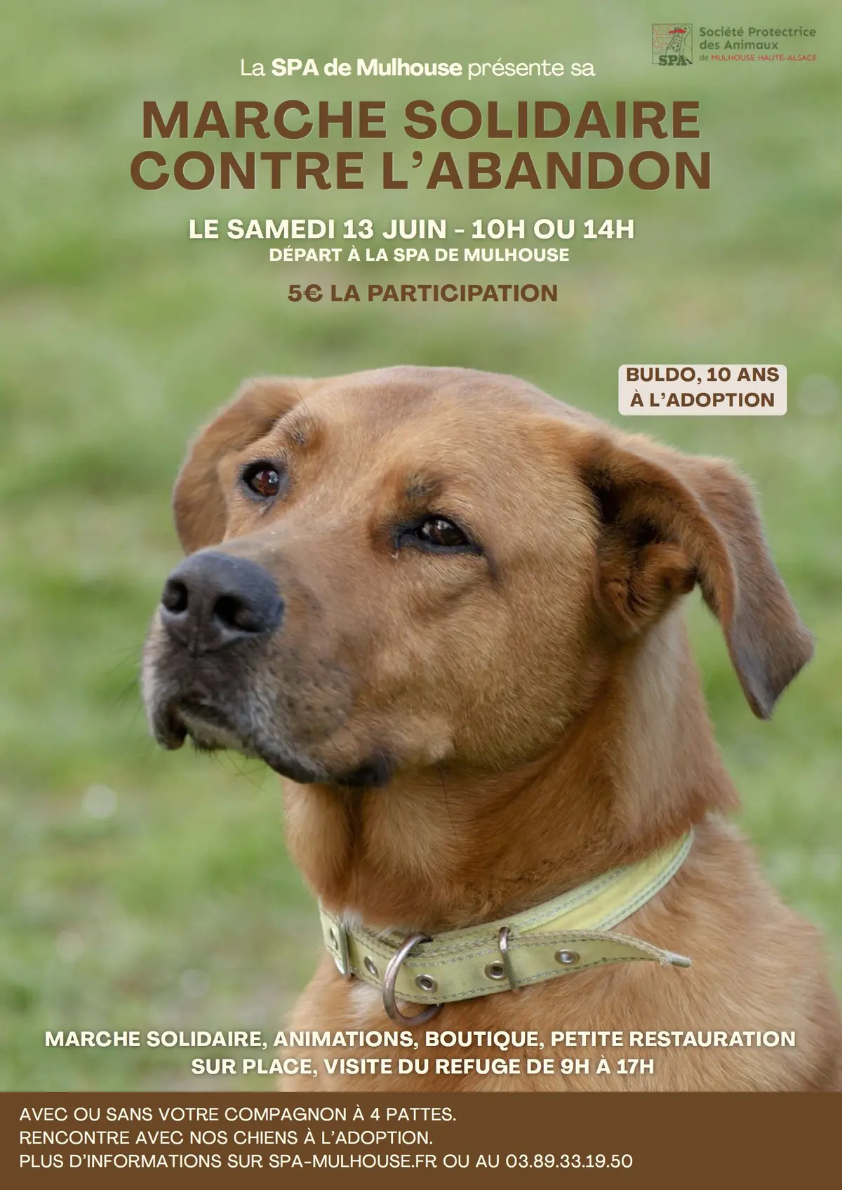 Marche solidaire contre l’abandon organisée par la SPA de Mulhouse