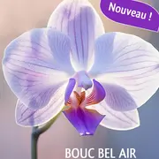18ᵉ Salon International de l’Orchidée de Bouc Bel Air