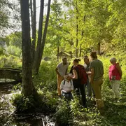 Balade, découverte et dégustation des plantes sauvages comestibles