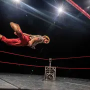 Festival Compli'cité - Le bestiaire