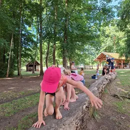 Club nature - Robin des bois - 03/06 ans