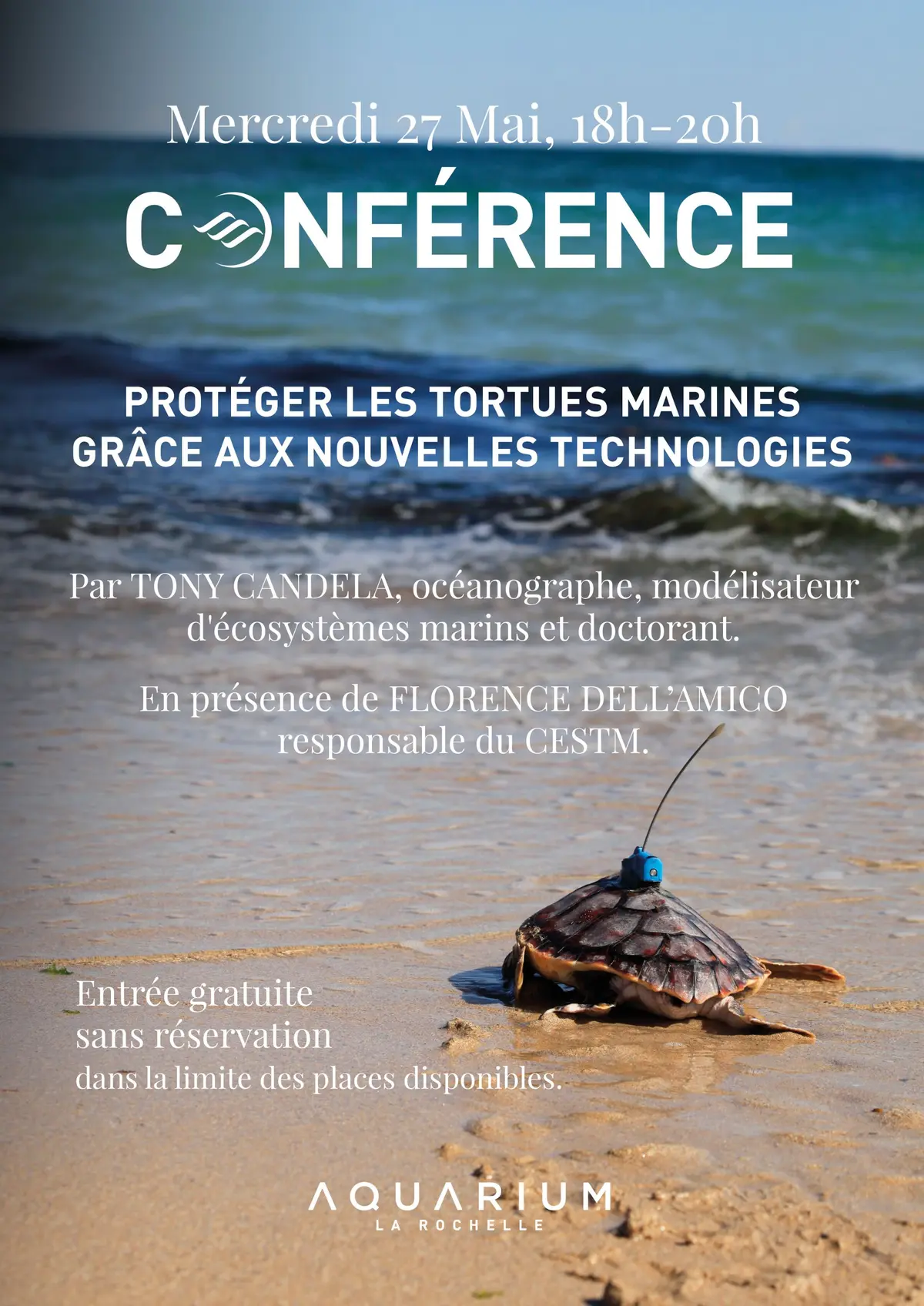 Conférence : Protéger les tortues marines grâce aux nouvelles technologies
