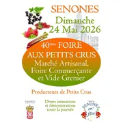 Foire aux petits crû et vide grenier 