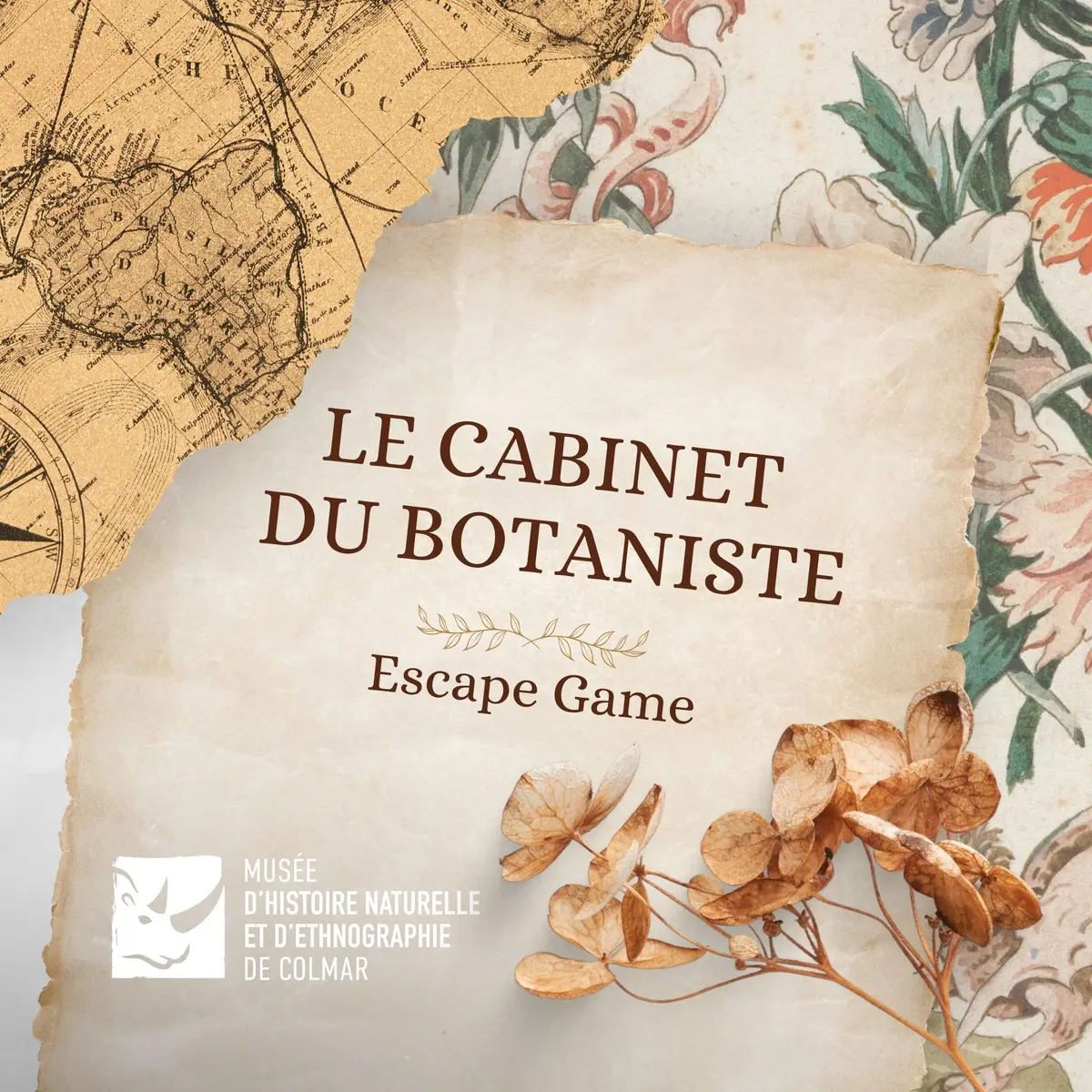 Escape game | Le cabinet du botaniste