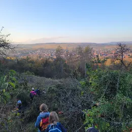 Club nature - La forêt des secrets - 06/12 ans