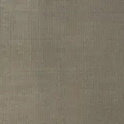 Conférence de Claude Muller > L’évêque Jean-Baptiste Pierre Saurine