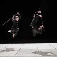 Go! &copy; Bohumil Kostorhyz