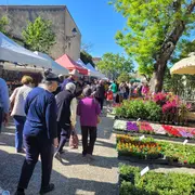 Fête des Fleurs