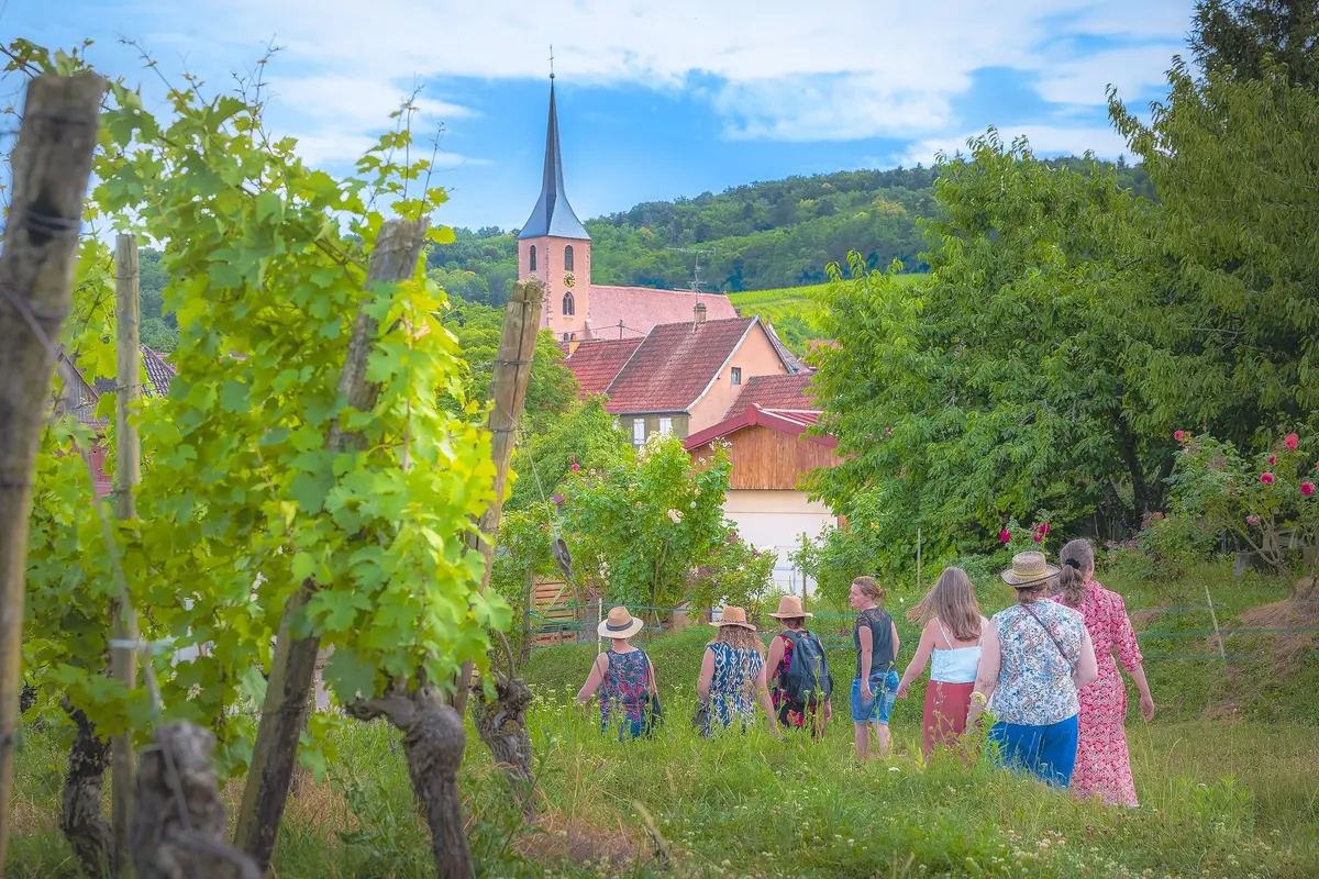 Balades vigneronnes au pays de Barr