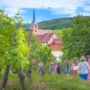 Balades vigneronnes au pays de Barr