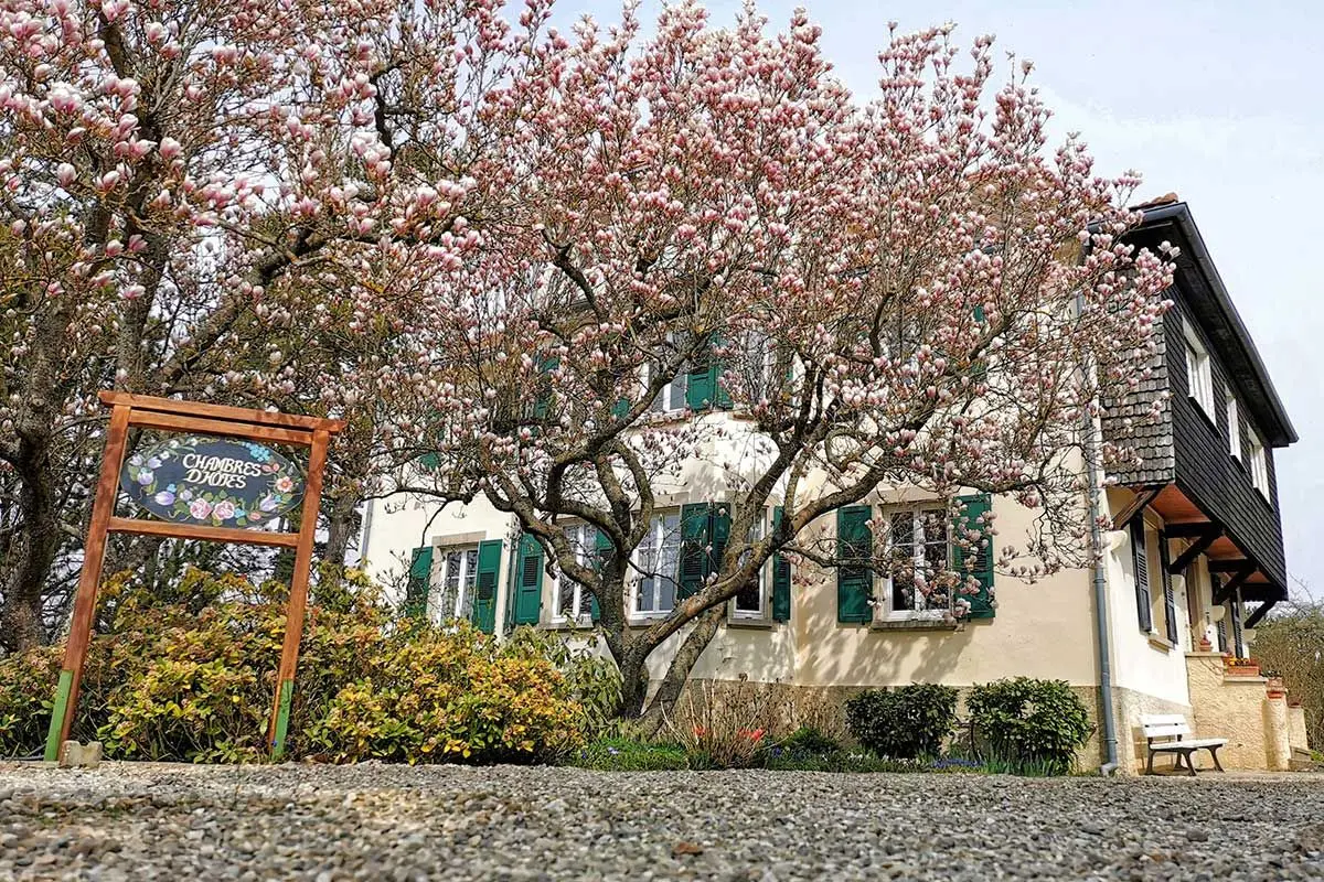 La Tirelire, chambres d'hôtes à Cosswiller