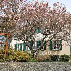 La Tirelire, chambres d'hôtes à Cosswiller