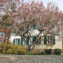 La Tirelire, chambres d'hôtes à Cosswiller