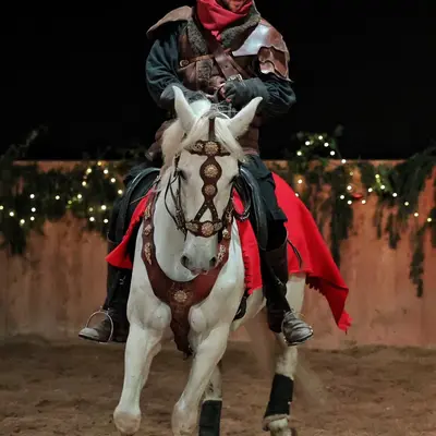 SOS lutin en détresse, conte équestre de Noël