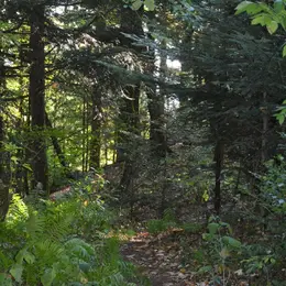 47ème marche populaire de montagne à Wattwiller