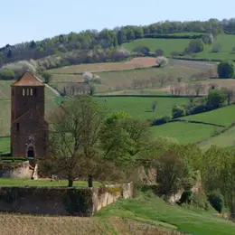 Marche gourmande : vins et gourmands en promenade