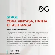 Yoga vinyasa, hatha et ashtanga