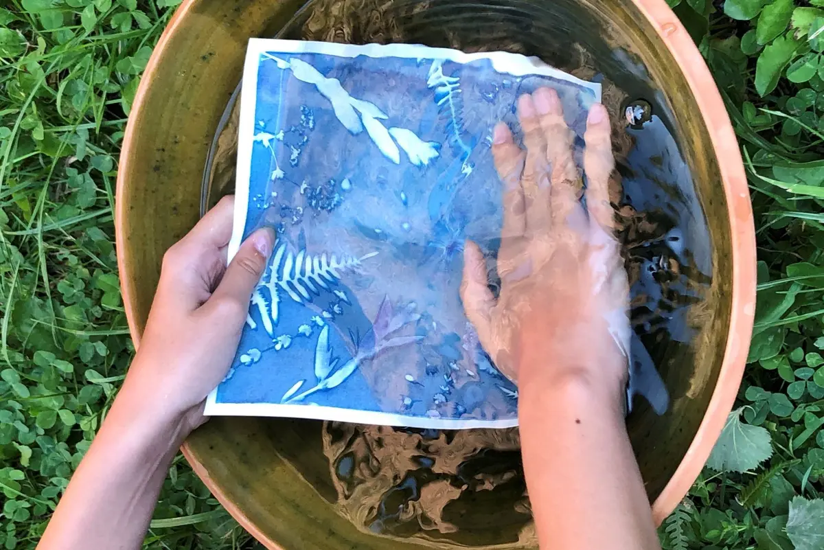Atelier cyanotype : le petit peuple du jardin