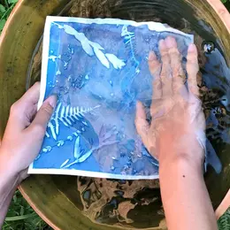 Atelier cyanotype : le petit peuple du jardin