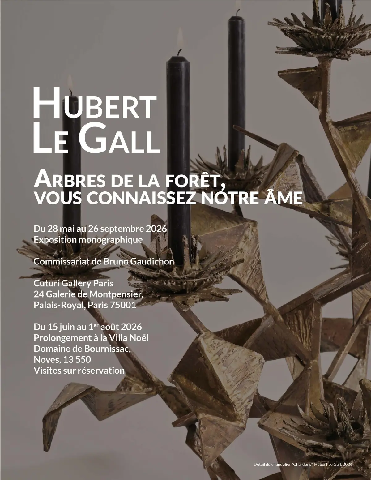 Hubert Le Gall dévoile une forêt onirique à Cuturi Gallery Paris