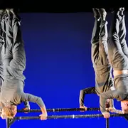 Festival Compli'cité - Gaïa 2.0